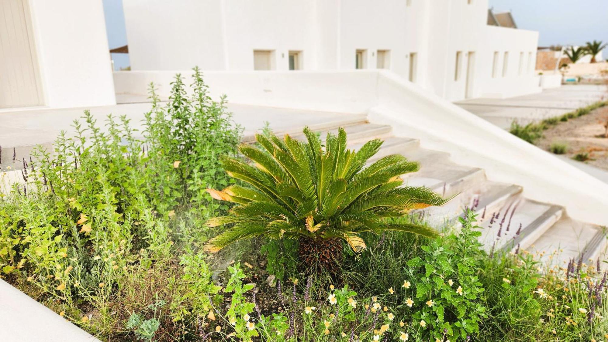 Hayal Suites Santorini Emporio  Esterno foto